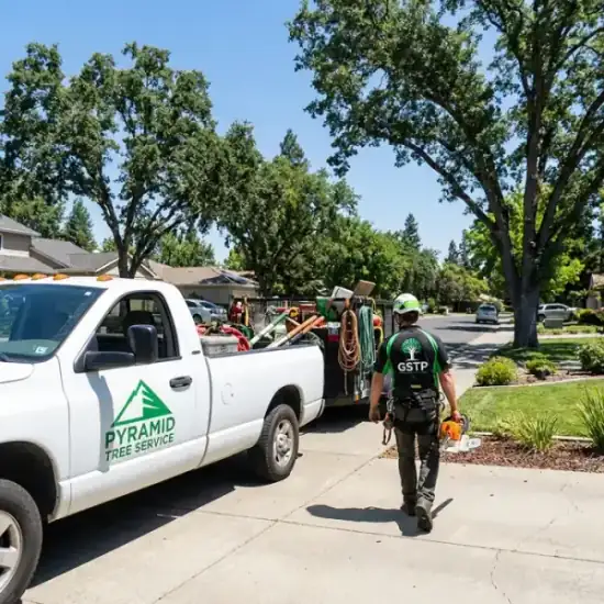 TreeEx Tree Experts truck arriving at a Sonoma residential job