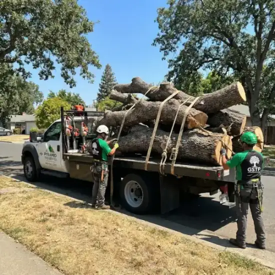 Tree service truck loaded with branches after a Sonoma job